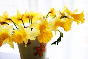 wiosenne-kwiaty